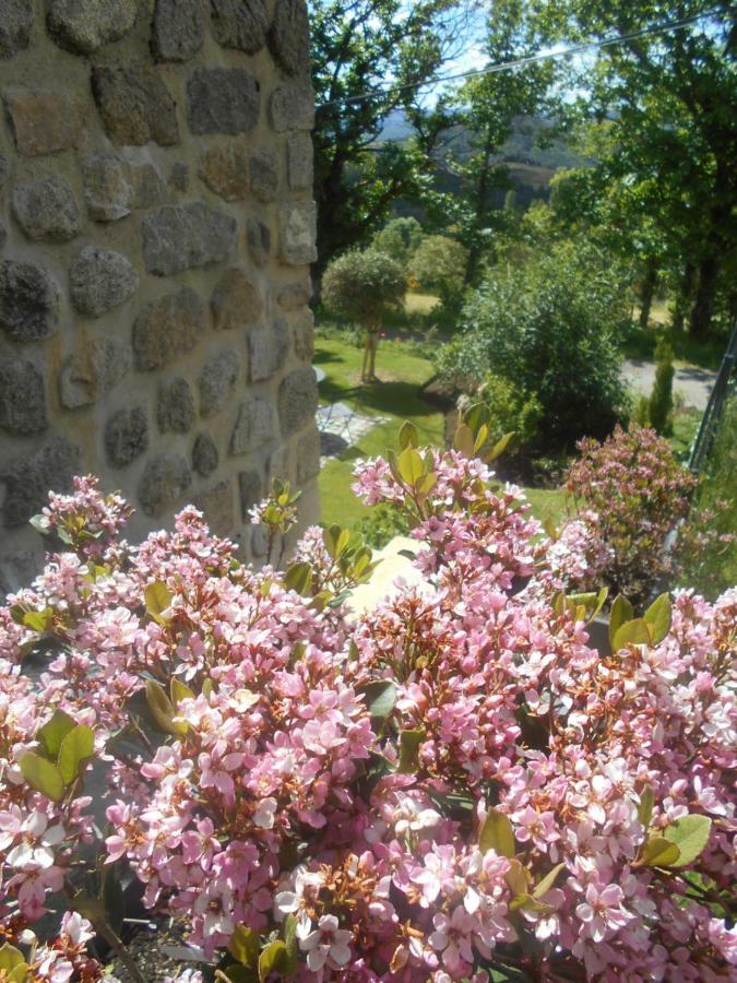 Maison D'Hotes Les Palmiers Gluiras Esterno foto